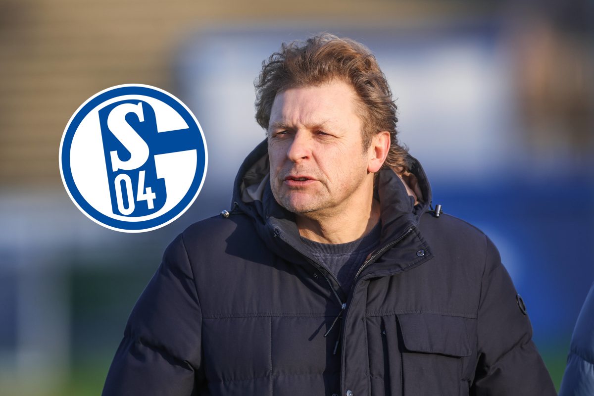 FC Schalke 04: Youri Mulder