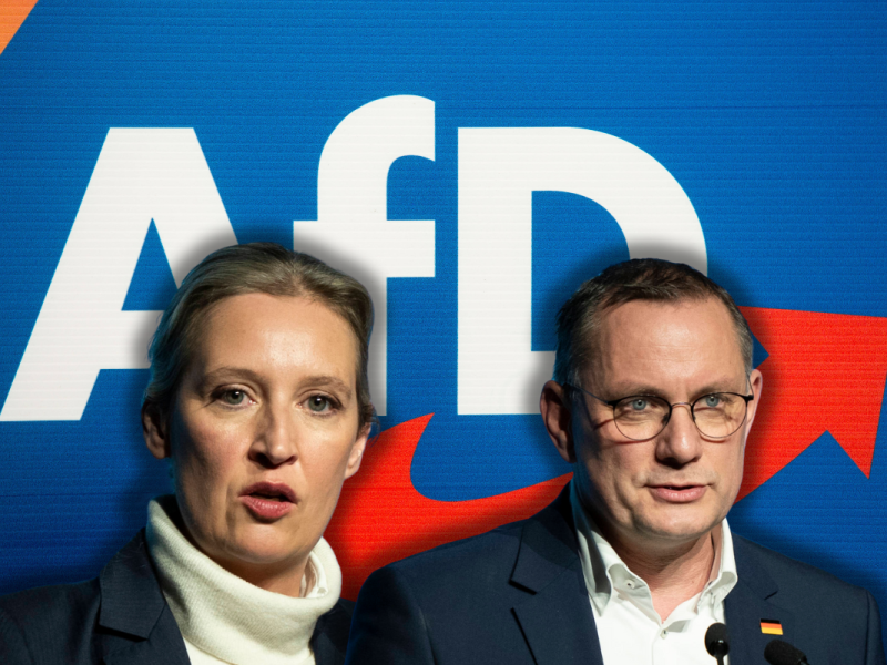 Alle Entwicklungen der AfD zur Bundestagswahl.