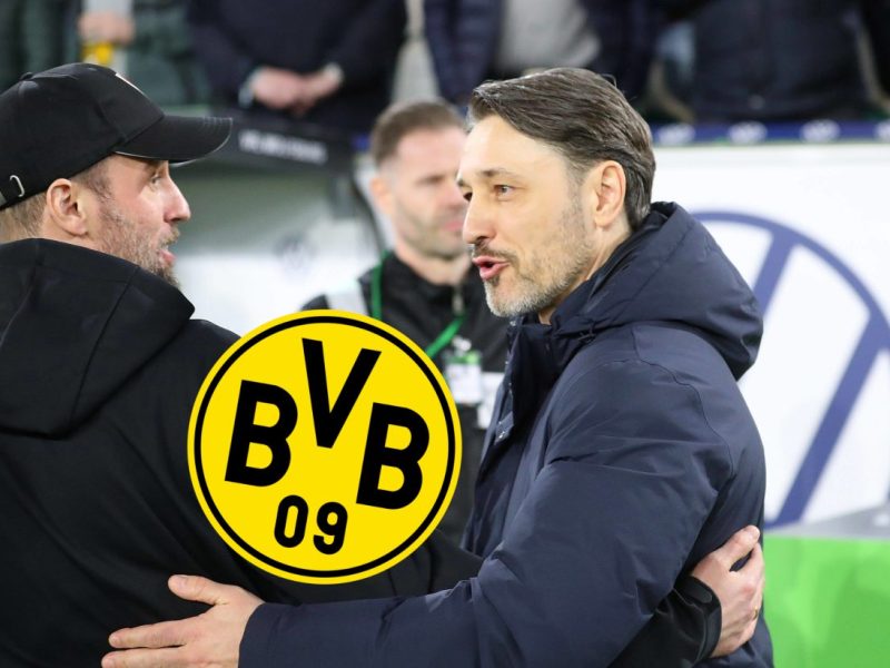 Borussia Dortmund: Sebastian Hoeneß