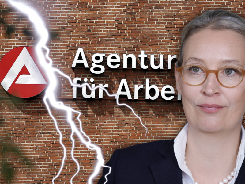 Die AfD hat drastische Pläne für das Bürgergeld – wer arbeitslos wird, soll viel schneller finanzielle Einbußen spüren!