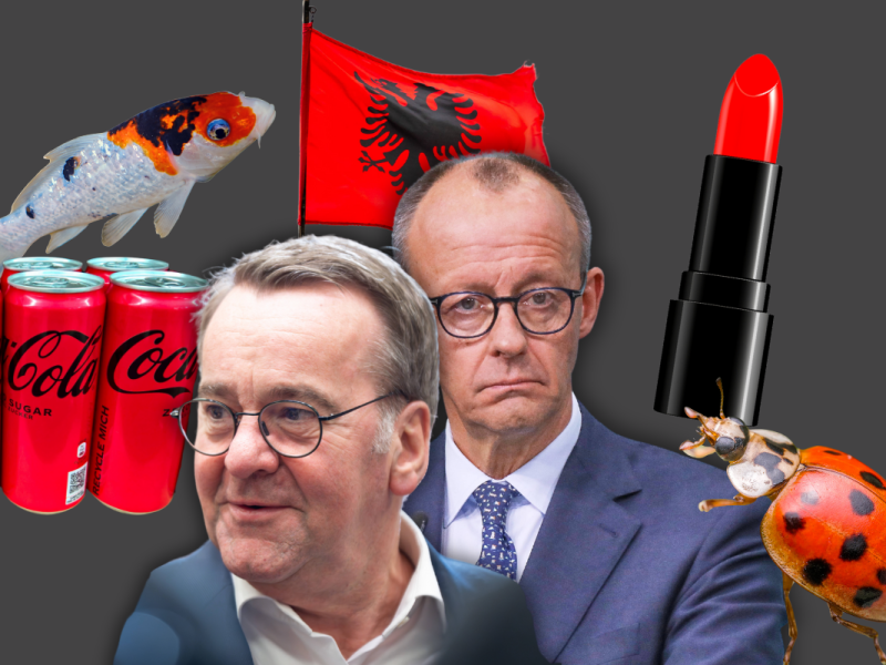 Wird die neue Regierung nach einem Fisch oder einer Cola benannt? Das Netz spottet über das CDU-SPD-Bündnis!