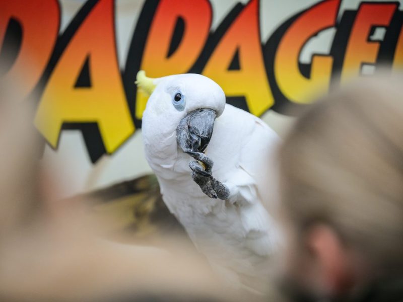 Papageiencafé Bochum