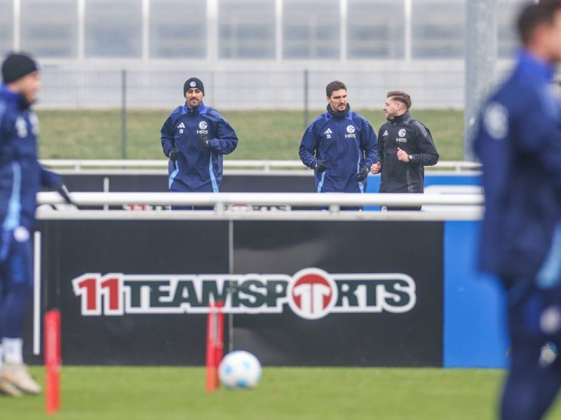 Der FC Schalke 04 hat im Winter gleich dreimal auf dem Transfermarkt zugeschlagen. Einer von ihnen bekommt nun ein dickes Lob.