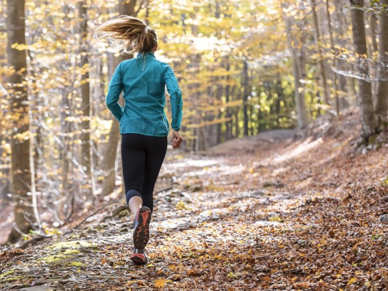Einer Ex-Olympia-Teilnehmerin droht ein Bußgeld für das Joggen im Wald (Symbolfoto).