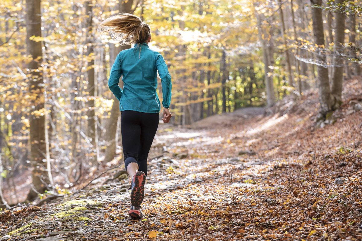 Einer Ex-Olympia-Teilnehmerin droht ein Bußgeld für das Joggen im Wald (Symbolfoto).