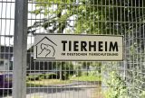 Ein Tierheim in NRW erlebte eine positive Überraschung. (Symbolfoto)