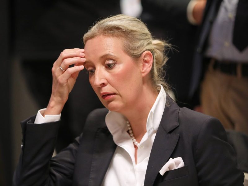 Alice Weidel