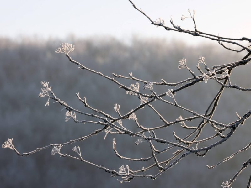Wetter in NRW