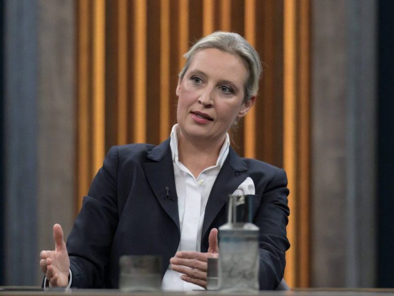 Die AfD kann von den kontroversen Abstimmungen nicht profitieren.