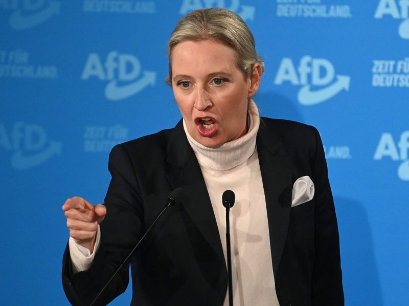 Weidel mit Eigentor vor Bundestagswahl