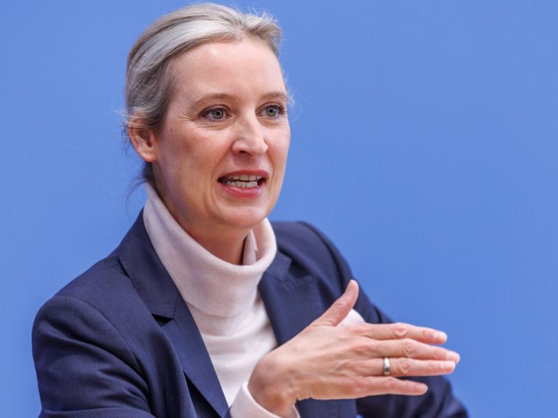 Weidel pocht nach Bundestagswahl auf Mitspracherecht.
