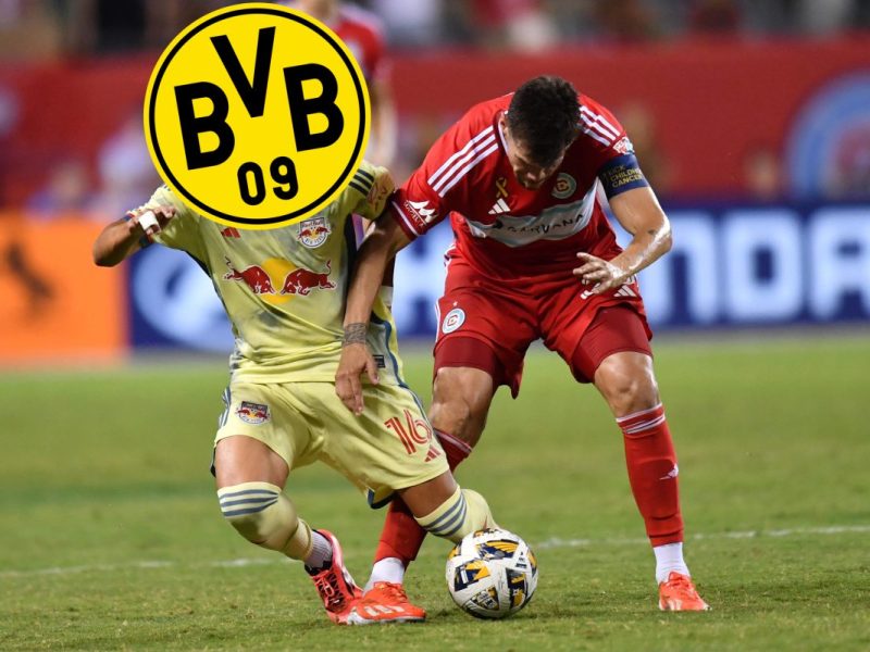 Borussia Dortmund: Julian Hall