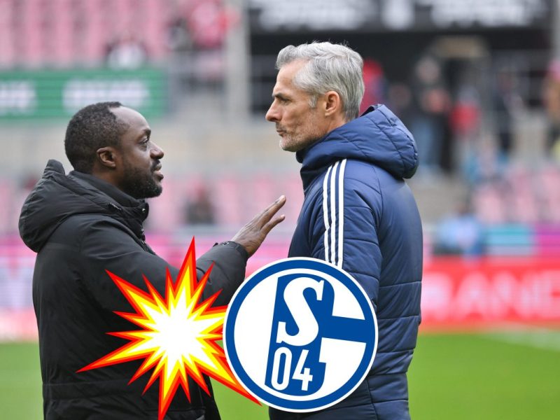 FC Schalke 04: Kees van Wonderen
