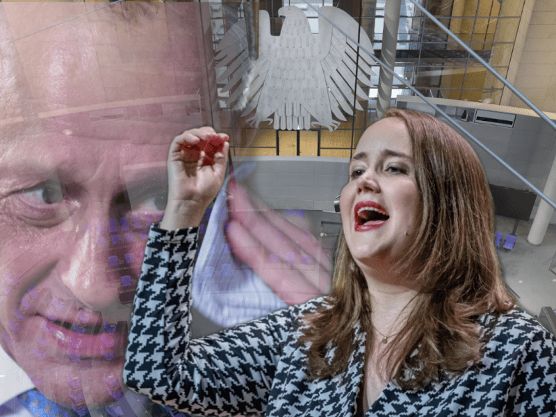Ricarda Merz wettert wegen Schuldenbremse gegen Merz.