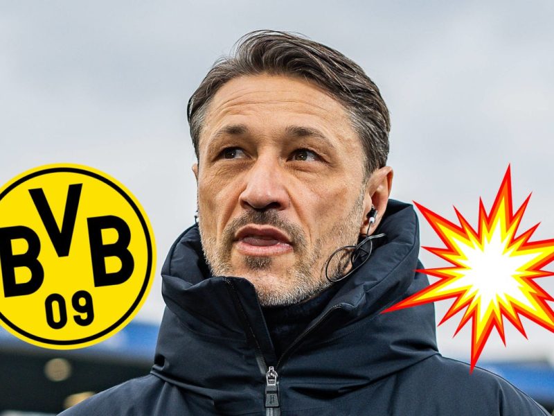 Borussia Dortmund: Vulkan