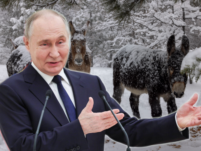 Putin setzt im Kampf gegen die Ukraine auf Nutztiere.
