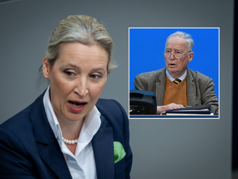 Alexander Gauland widerspricht der Hitler-Aussage von AfD-Chefin Alice Weidel.