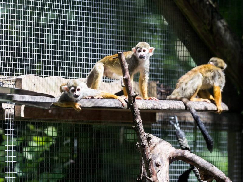 Zoo Dortmund