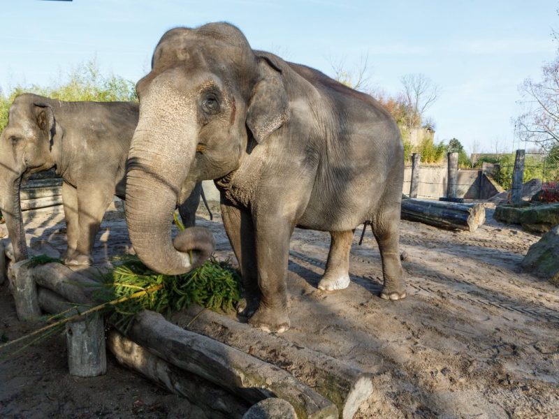 Zoo in NRW