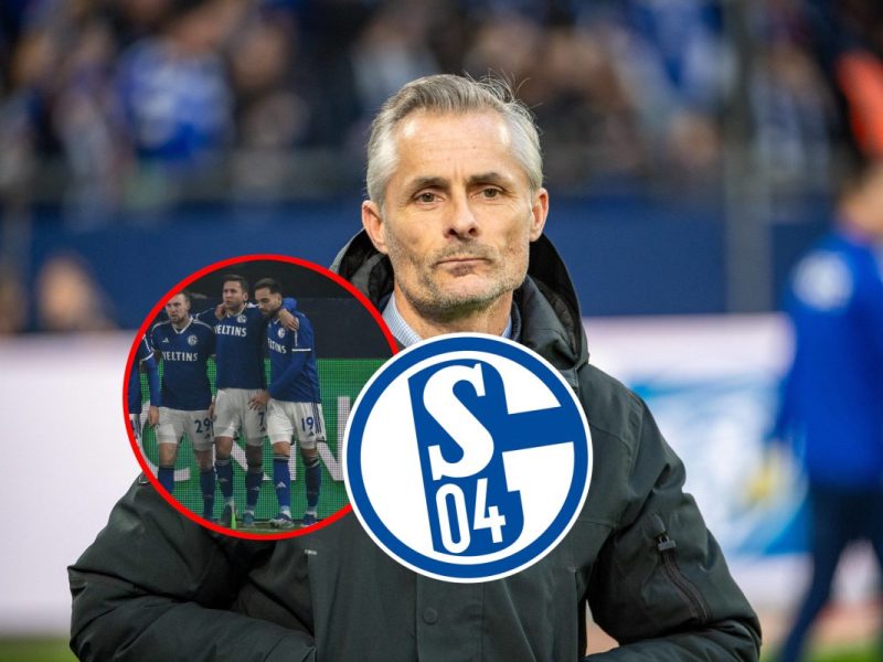 Frohe Kunde für den FC Schalke 04! Nach dem knappen Sieg gegen Münster gibt es gute Nachrichten für Königsblau.