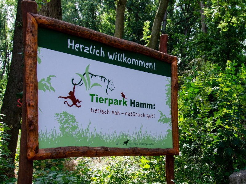 Vorfall im NRW-Zoo! Besucher plötzlich im Tier-Gehege – Mitarbeiter müssen sofort eingreifen