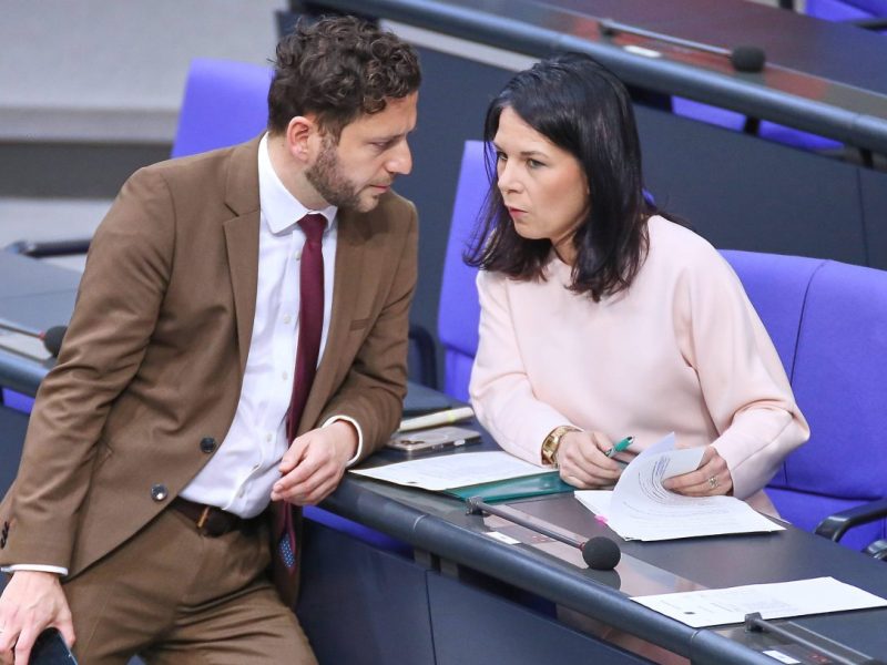 Grüne in der Krise nach der Bundestagswahl
