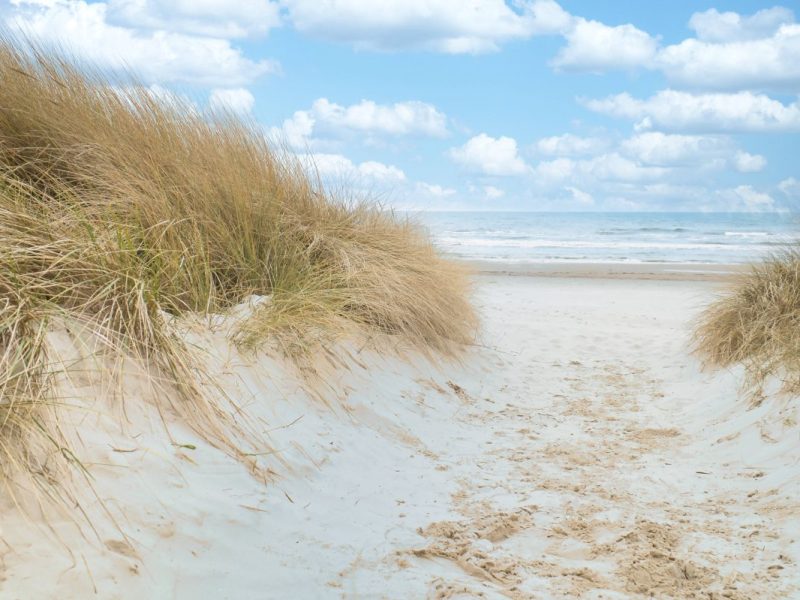 Wer Urlaub an der Ostsee macht, sollte am Strand genauer hinsehen.