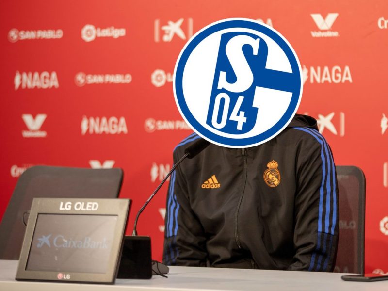 FC Schalke 04: Raul