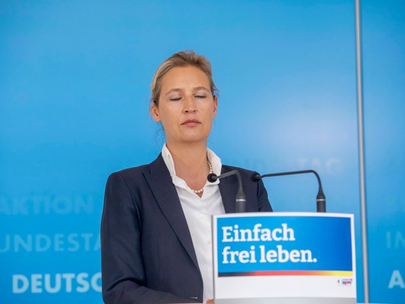 Alice Weidel