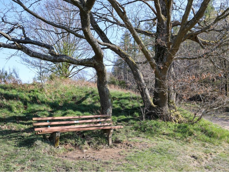Hagen