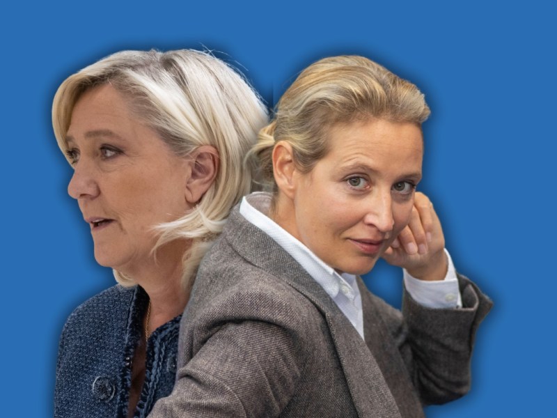 Rechtswissenschaftler Dr. Franz-Alois Fischer erklärt, was es mit dem Le-Pen-Urteil auf sich hat und was das für Alice Weidel und ihre AfD bedeutet.