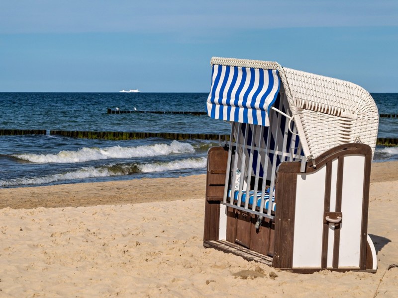 Dramatische Rettung im Urlaub an der Ostsee – Badegäste setzen für Hund ihr Leben aufs Spiel!